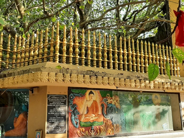 Bodhibaum in Tempelanlage