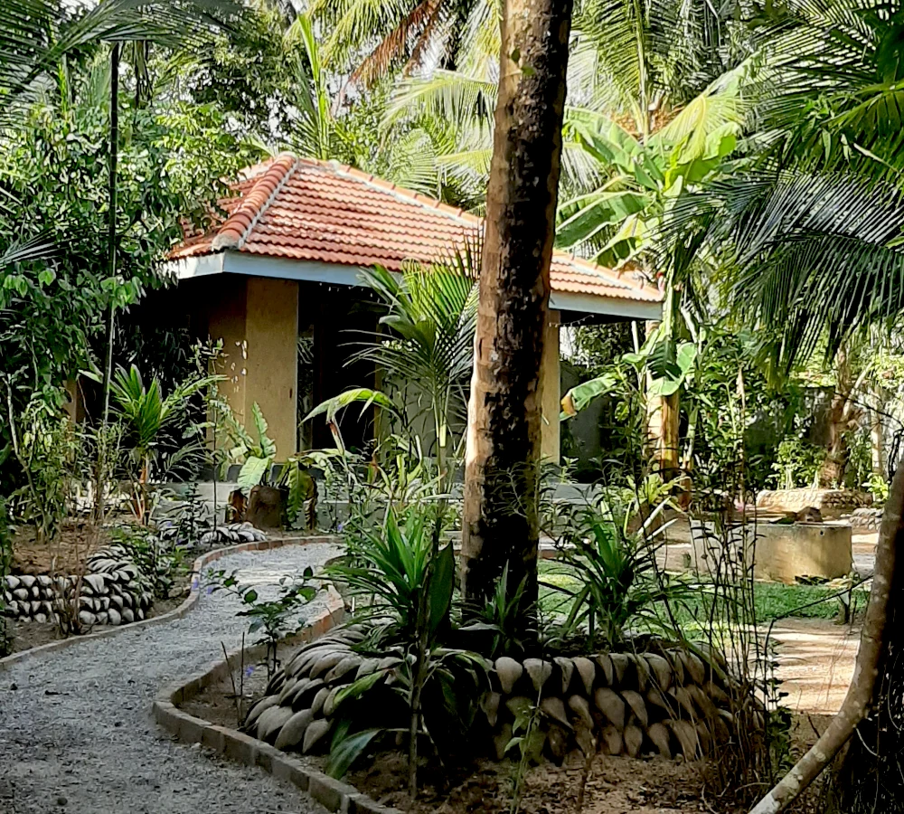 Kräutergarten im Ayurveda-Zentrum
