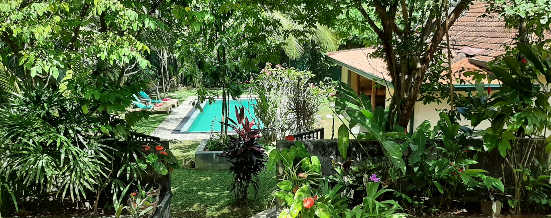 Der Ayurvedagarten mit Pool und Ayurvedazentrum